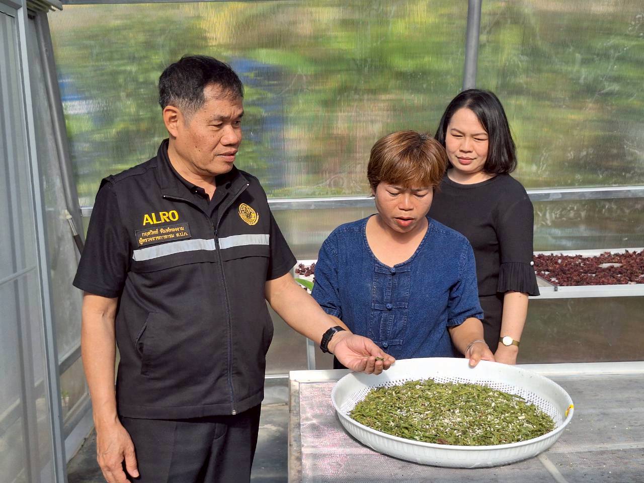 title - ผู้ตรวจราชการ ส.ป.ก. ประชุมตรวจราชการและติดตามความก้าวหน้าผลการดำเนินงานตามแผนการตรวจราชการของผู้ตรวจราชการสำนักงานการปฏิรูปที่ดินเพื่อเกษตรกรรม ประจำปีงบประมาณ พ.ศ. 2569 รอบที่ 1 เขตตรวจราชการที่ 11 จังหวัดมุกดาหาร